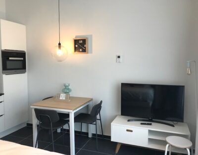 Modern studio apartment